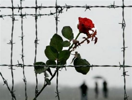 Международный день освобождения узников концлагерей.