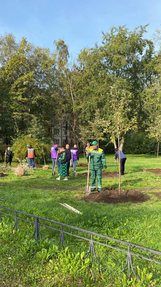 В Воронцовском сквере сажали деревья!